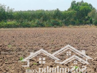 Bán Ngộp 2396M2 Tc Ngay Trường C2 An Linh Sát Đường Dhmặt Tiềnđường Thông Dân Đông. Liên Hệ: 0325030897 (Vy)