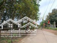 Bán Ngộp 2396M2 Tc Ngay Trường C2 An Linh Sát Đường Dhmặt Tiềnđường Thông Dân Đông. Liên Hệ: 0325030897 (Vy)