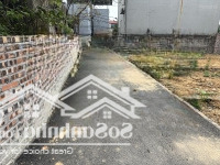 Bán 55M2 Đất Phân Lô Cổ Loa, Lô Góc, Ô Tô Thông Chạy Vòng Quanh, Giá Đầu Tư Chỉ Hơn 4 Tỷ.