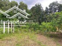 Em Còn 2 Lô Đất Cần Bán 1 Miếng Nền 1 Miếng Sào Ở Phú Giáo Bình Dương Giá Chỉ 6Xxtr 1000M2 250M2