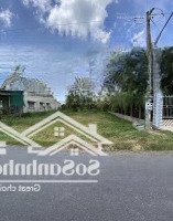 Siêu Rẻ! Bán 153M2 Đất Gia Lộc, Trảng Bàng Giá Chỉ Với 350 Triệu