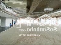 Office Saigon - Cho Thuê Văn Phòng Quận 7, 100M2 Chỉ Từ 45 Triệu