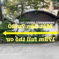 Chủ cần tiền bán gấp lô đất  tai Hoàng Đan -Tam Dương -Vĩnh Phúc