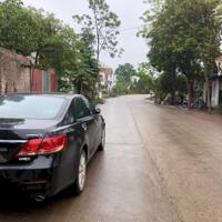 Chủ cần tiền bán gấp lô đất  tai Hoàng Đan -Tam Dương -Vĩnh Phúc