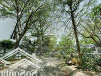 Kẹt Tiền Bán Lô Đất 70M2 Đặng Văn Bi, P. Bình Thọ Tp Thủ Đức. Sổ Riêng, Xây Dựng Tự Do