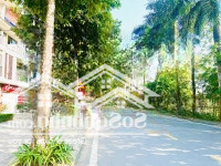 Bán Căn Shophouse 100M2 Đường Trục Chính. Giá Rẻ Hơn Căn Đường Nhỏ. Lãi Ngay Tiền Tỷ