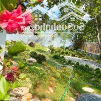 Chủ Cần Bán Nhanh Khu Nghỉ Dưỡng 748M2 Tại Xã Tân Tiến Chương Mỹ Hà Nội
