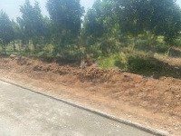 Bán Đất Tại Dh507, An Linh, Phú Giáo, 500 Triệu, 242 M2, Giá Cực Chất