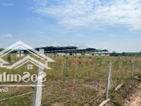 Hàng Hiếm Lô Đất Sào 2300M2 Có Thổ Cư Gần Chợ An Linh, Kế Cty Anova, 1 Sẹc Dh507 Chỉ 100M Giá 650 Triệu