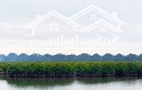 Bán Ô Đất Giáp Biển Gần Hạ Long Xanh. Hơn 4000M2 Có (1400M Thổ Cư)