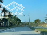 Cần Chào Bán Trục Đường Trần Thái Tông Cao Xanh A