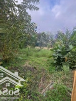Cần Bán Lô Đất 354M2 Ngang 16M, Kiệt Ô Tô 6M Thích Hợp Xây Dựng Biệt Thự, Sân Vườn, Nghỉ Dưỡng