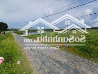 Chủ Ngộp Bán Lại Lô Đất 2 Mặt Tiền 272M2 Thạnh Đức, Gò Dầu, Tây Ninh, Shr, 950 Triệu