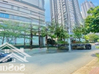 Vị Trí Siêu Đẹp Trung Tâm Quận 7 - Kdc Him Lam -Diện Tích10X20M (4 Tầng) Hđt 90 Triệu/Th - Giá Chỉ 57 Tỷ Tl