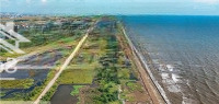Chính Chủ Bán Nhanh Lô Đất Ven Biển Quất Lâm Khu Vực Đang Phát Triển Mạnh