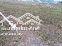 Chính Chủ Bán Đất 300M2 Khu Đấu Giá Hồng Tiến, Phổ Yên, Thái Nguyên. Vị Trí Quanh 3 Khu Công Nghiệp