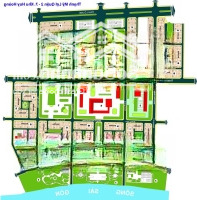 Bán Đất Huy Hoàng 5X20M- 195 Triệu, 8X20M Trục Thông- 210 Triệu, 4X20M, 8X17M,15X20M- 195 Triệu,Nền Bt Giá Rẽ