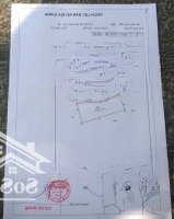 Cắt Lỗ Gấp Ra Đi 1 Mẫu Đất Ruộng Giá Siêu Rẻ Cho Ae Nào Mua Đầu Tư