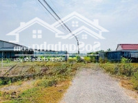 Bán Đất Củ Chi, Tân Phú Trung, 1 Sẹc Cây Da,Diện Tích132M2 Đất Thổ Cư Shr Giá Bán 1.5 Tỷ Liên Hệ: 0937866293