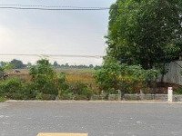 Đất Tân Phước Khánh Quy Hoạch Odt Đường Nhựa 6M Thông, Gần Dt745, Giá Tốt 3. 3 Triệu/M2
