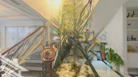 Cần Bán Nhanh Biệt Thự An Vượng Hoàn Thiện Đẹp, Ngay Cạnh Hồ Thiên Văn Học!