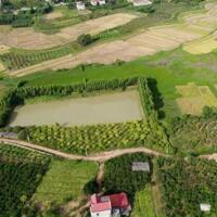 BÁN ĐẤT 1,1 HECTA KHU CÔNG NGHIỆP PHƯỢNG SƠN THỊ XÃ CHŨ LỤC NGẠN BẮC GIANG 0982188151