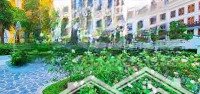 Bán Chcc, 3 Phòng Ngủdiện Tích 135M2 Tại Dự Án Iris Garden, Full Đồ, Giá Chỉ Từ 8 Tỷ. Liên Hệ: 0397942003