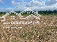 Bán Đất Xã Diên Đồng Thôn Đồng Trăn 3 - Diên Khánh - Khánh Hoà