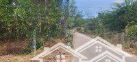 Duy Nhất Lô 11M Đường Nhựa Xay Sát Văn Minh, Giá Tốt Nhất Thị Trường!