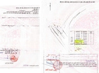 Ra Nhanh Lô Đất Hơn 400M2 Ngay Chợ Việt Kiều - Xã Tân Thông Hội, Củ Chi
