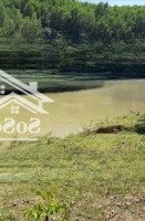 Cần Bán Lô Đất Vườn Tuyệt Đẹp Diện Tích 2854M Cạnh Sông Chò Giá Sốc 350K/M
