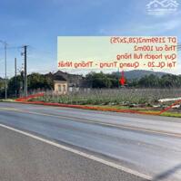 bán đất mặt tiền QL 20, xã Quang Trung