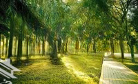 Tháng 4 Cho Thuê Nhà Phố Ecopark Kinh Doanh & Ở Giá Tốt Cam Kết Không Chênh Lệch, Liên Hệ: 0941015995