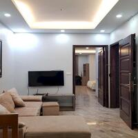 Cho thuê căn hộ dịch vụ tại Vũ Ngọc Phan, Đống Đa, 90m2, 2PN, đầy đủ nội thất