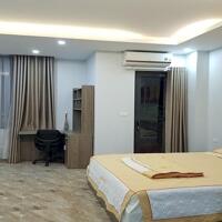 Cho thuê căn hộ dịch vụ tại Vũ Ngọc Phan, Đống Đa, 90m2, 2PN, đầy đủ nội thất