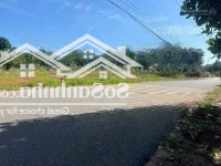 Ngộp 350 Triệu-300M2 (100Tc) Nằm Ngay Sát Nút Giao Cao Tốccho Thuêgia Nghĩa
