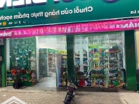 Cho Thuê Cửa Hàng Mặt Phố Phan Kế Bính, P. Liễu Giai, 130M2, Bề Rộng 8M, Cafe, Vp, Spa, 15 Tr/Th