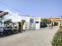 Cần Bán 200 Mv Đất Ngũ Phúc, Kiến Thụy , Hải Phòng .
