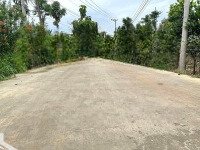 Bán Vườn Đường Nhánh An Linh, Phú Giáo, Bình Dương, Giá Ưu Đãi 315 Triệu, 250M2 Sẵn Thổ Cư