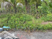 Bán Đất Tại Thị Trấn An Dương, An Dương, Hải Phòng, 23,5 Triệu / M2, 121,7 M2 Uy Tín Giá Cực Chất