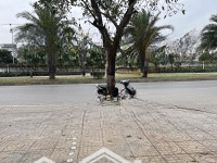 Chính Chủ Gửi Bán Nhà Mặt Phố Đào Đình Luyện Tại Việt Hưng, Long Biên, 167M2 - Mt11,2 - 305 Triệu/M2