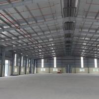 CHO THUÊ XƯỞNG SẢN XUẤT - KHO BÃI TRONG VÀ NGOÀI KCN KIM THÀNH, HẢI DƯƠNG