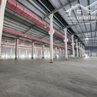 Cho Thuê Nhà Xưởng Tiêu Chuẩn Quốc Tế Tại KCN Yên Bình, Thái Nguyên - Vị Trí Vàng, Hạ Tầng Hiện Đại