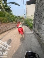Chính Chủ Gửi Bán Hơn 70M Đất Đồng Tháp Ngõ Oto Thông Tứ Phía Gần Chợ, Trường Học Các Cấp