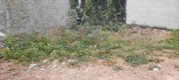 Bán Gấp Lô Đất 9*18,4 (166M2), Shr, Tân Phú Trung, Củ Chi. Giá Bán 1,4 Tỷ