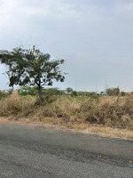 Chủ Gửi Lô Biệt Thự Mặt Hồ Sinh Thái Hướng Đông Nam Thoáng Mát Giá Ngợp 2Ty850