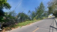 Cho Thuê Nhà Vườn (1000M2), Mặt Tiền Nguyễn Hữu Cảnh, P10 - Cách Biển 300M