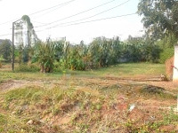 Bán Mặt Tiền (16X50=781,5M2) Tc, Shr Ngay Ql14, Chợ Minh Lập Chơn Thành Dân Đông View Sông Bé 480 Triệu