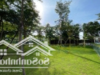45 Tỷ Bán Căn Biệt Thự Mặt Hồ, Có Bể Bơi, Lô Góc, Vườn Siêu Rộng, Full Nội Thất