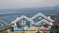 Bán Đất Mặt Đường Ql37 Nội Hoàng 81M2, Đường 42M, Giáp Kđt Chuẩn Bị Khởi Công, Giáp Kcn Vân Trung